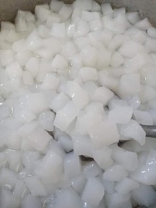 Cubes de Nata de Coco Premium en Sirop, Gommes de Coco avec Graines de Basilic, Prêts à Consommer, Ingrédient de Dessert Tropical pour Bubble Tea - Product Image 6