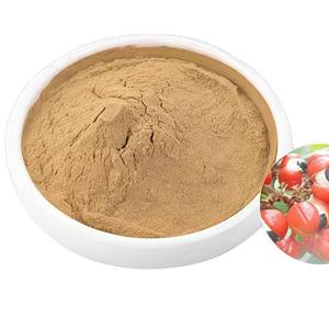 Poudre d'extrait de Guarana 100% naturelle en vrac, pure, de qualité alimentaire, idéale pour les boissons santé et les smoothies - Product Image 2