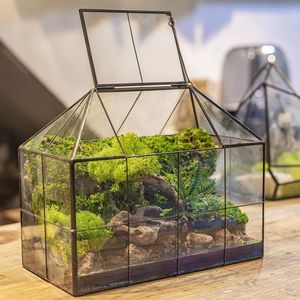 Terrario Geométrico Personalizado de Metal y Vidrio, Macetero de Vidrio en Forma de Cabaña para Plantas de Interior, Suculentas, Plantas Aéreas y Terrarios DIY - Product Image 3