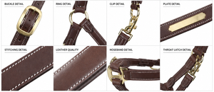 Harnais en cuir pour chevaux en gros, prix d'usine pour les acheteurs mondiaux de Divine International - Product Image 2