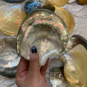 Vietnam Polished Mother of Pearl Plate Shell Material for Jewelry Tray Serving Dish <b>Table</b> Decor <b>Display</b> Use - Product Image 1