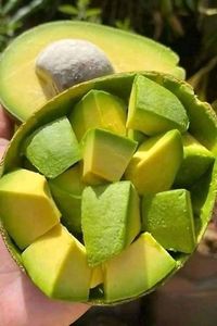 Avocat congelé du Vietnam – Approvisionnement en gros pour les services de restauration et l'industrie agroalimentaire - Product Image 5