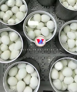 ไข่นกกระทากระป๋อง ได้รับการรับรองมาตรฐาน HACCP สดใหม่ 100% และปรุงสุก คุณภาพส่งออกระดับพรีเมียม คุณเมย์ - Product Image 3