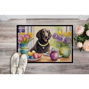 Nouveau extérieur et intérieur 18H X 27W antidérapant lavable Pâques bouclé-enduit Retriever paillasson Low Pile porte d'entrée tapis d'entrée - Product Image 2