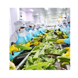 Aloe Vera Jelly để bán từ nhà cung cấp từ Việt Nam-đồ uống thạch và bánh <span class=keywords><strong>pudding</strong></span> sự lựa chọn tốt nhất cho bạn/MS. thi - Product Image 4