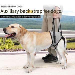 Harnais pour animaux de compagnie avec logo personnalisé, en nylon durable avec boucle robuste et bande réfléchissante pour les promenades quotidiennes - Product Image 3