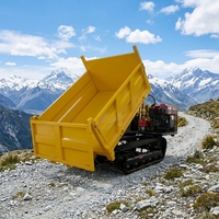 Dumper forestier sur chenilles en caoutchouc de 2 tonnes, moteur diesel, télécommandé, style Morooka, pour zones humides et marécageuses