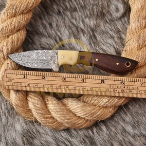 Cuchillo de caza de hoja recta de Damasco de primera calidad con mango de madera natural |   Cuchillo de Supervivencia para Exteriores Personalizable ODM con Hoja Fija para Desollar - Product Image 2