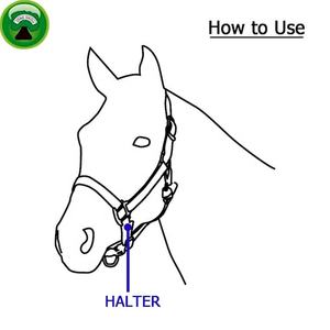 Cabestro Rosa para Caballo de Talla Grande con Amarre - Product Image 5