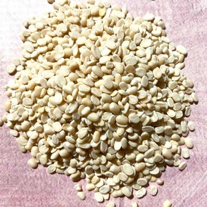 Organic Non-GMO Dried White Urad Dal Premium Grade Newest Year Crop Bulk Packaging Direct From Farm for International Buyers - Product Image 2