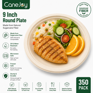 Canejoy 9 Inch Bagasse Round <b>Plate</b> | Eco-Friendly <b>Disposable</b> Travel Dinner <b>Plate</b> | 10 Packs | Classic Style | Made in Gujarat - Product Image 3