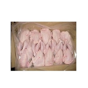 Proveedor Mayorista Premium! Pollo Entero Congelado Halal, Carne Procesada de Pollo Halal - Product Image 1