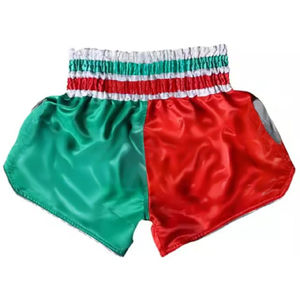 Shorts de kick-boxing/Muay Thai personnalisés imprimés, shorts de combat Muay Thai aux couleurs dégradées - Product Image 2
