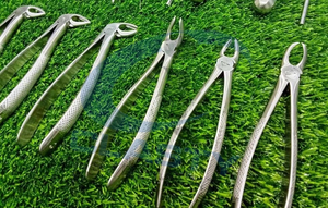 Nuevo Juego de Fórceps Manuales de Acero Inoxidable para Extracción Dental Veterinaria, Certificado CE, Clase I CI-ZS-715 CLASTY INSTRUMENTS - Product Image 2