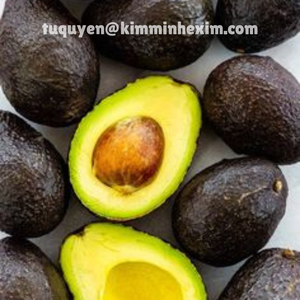 Avocats biologiques IQF en cubes/dés/entiers/demi-dés, emballés sous vide, en vrac, export du Vietnam, fruits surgelés IQF de qualité standard - Product Image 2