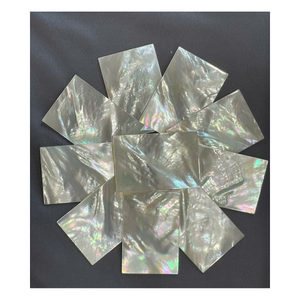 Handmade Polished Shell <b>Flower</b> <b>Wall</b> Decoration Natural Pearl Inlay Rectangle Craft <b>Panels</b> for Home Decor - Product Image 1