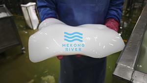 Mekong River White Coconut <b>Jelly</b> Nata De Coco Ball 1kg Ready to Use Low-Fat Fruity Vietnamese Direct Factory Manufacturer - Product Image 5