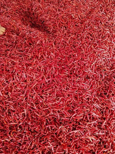 Épices brutes de haute qualité et piments séchés transformés par lyophilisation, en vrac de 25 kg au meilleur prix - Product Image 6