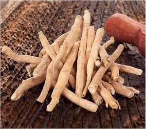 Fournisseur de racine d'ashwagandha en vrac de qualité supérieure, ingrédient naturel pour le bien-être - Product Image 1