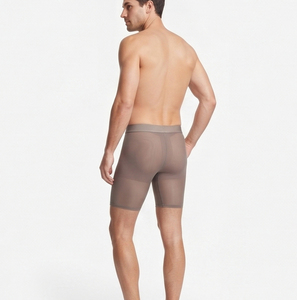 Men's Sheer <b>Boxer</b> Shorts 100% Polyester Sheer <b>See</b> <b>Through</b> Shorts Men Nightwear Club Sexy Sheer Shorts Mens Elastic Waist Short - Product Image 4