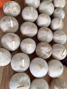 Carne de Coco Premium de Vietnam – Fresca y Congelada, Pulpa Blanca Natural, Sin Aditivos // Mr.Tom - Product Image 4