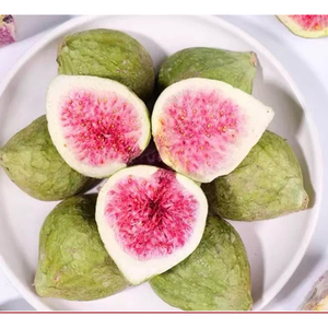 Collation de figues lyophilisées, paquet de 50g, uniquement des figues |   Sans sucre |   Chips de figues croustillantes lyophilisées pour la maison, meilleur prix pour la vente en gros - Product Image 1