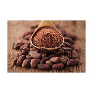 เมล็ดโกโก้สำหรับผู้ผลิตช็อกโกแลตและผู้ผลิตอาหารมืออาชีพ - Product Image 1