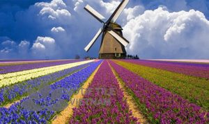 Windmill Decorative Glass Wall <b>Panel</b> - Product Image 4