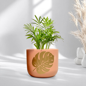 Maceta Artesanal de Terracota con Diseño de Corazón, Hecha a Mano, Colorida, con Orificio de Drenaje para Plantas de Interior, Sala de Estar - Product Image 1