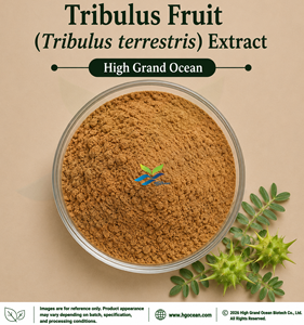 Extracto de Fruta de Tribulus (Tribulus terrestris) Suministro Directo de Fábrica HGO 4:1 5:1 10:1 20:1 100:1 200:1 (Extracto de Grado Alimenticio) - Product Image 1