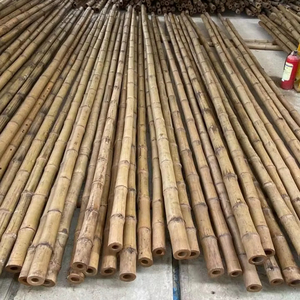 Venta al por mayor 100% palos de bambú natural crudo postes agricultura grande con Estaca de bambú de diferentes tamaños - Product Image 1