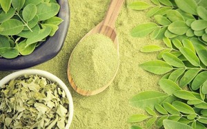 Polvo de Hoja de Moringa de Alta Calidad – Orgánico y Rico en Nutrientes, Superalimento Natural // Mr.Tom - Product Image 4