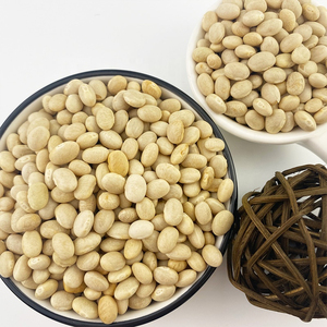 บริการ OEM คุณภาพพรีเมียม ขายส่งเมล็ดถั่วเนวี เกรดอาหาร พร้อมส่ง คุณภาพสูงสุด ขายส่งจำนวนมาก สำหรับส่งออก - Product Image 3