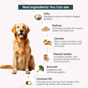 Alimento Húmedo Vegano Ayurvédico para Perros OEM, Nutrición Orgánica a Base de Plantas en Lata, Alto en Proteínas, Proveedor Mayorista de Exportación a Granel en India - Product Image 4