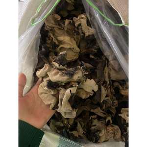 Fonge noire séchée, champignon nuque de l'Inde haché - Product Image 5