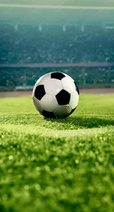 Ballons de football classiques cousus à la machine en PVC de haute qualité, taille personnalisée, officiels pour les matchs, résistants à l'eau, écologiques et personnalisables - Product Image 4