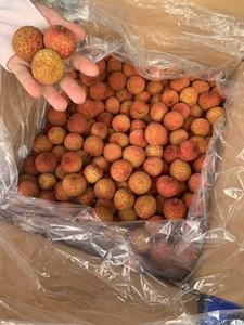 ลิ้นจี่กระป๋องในน้ำเชื่อมจากเวียดนาม - Product Image 4