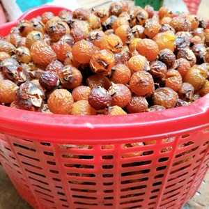 Premium Natural Soapberry Washnut Dried Soap Nuts for Laundry Household Cleaning and <b>Detergent</b> Wholesale Vietnam - Product Image 3