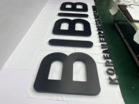 Enseigne lumineuse 3D BOYANG à lettres en relief, personnalisée, en acier inoxydable noir mat, avec halo inversé, écologique, à fixation murale, pour logo