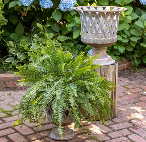 Lot de 2 pièces de jardinière en métal profond pour intérieur et extérieur en métal le plus vendu, prix de gros de haute qualité - Product Image 6