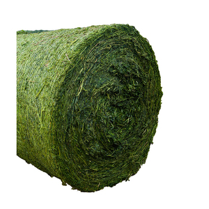 Foin d'herbe de Rhodes à bas prix, qualité supérieure, vente en gros - Product Image 4