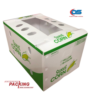 DAT THUAN Boîtes en plastique PP ondulé recyclables de haute qualité Stockage d'exportation américain de l'UE pour les fruits de mer Légumes Graines de maïs doux - Product Image 1