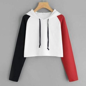 Solid Color Women Hoodie Custom Blank Plain Summer Casual Wear Wholesale Premium Fabric Elegant Female Pullovers - Product Image 3