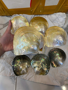 Pearl Of Mother Shell Smooth Vietnam Material For Jewelry Inlay Furniture Decoration Craft Best Price For Wholesale - Product Image 4