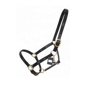 Équipement d'entraînement de cheval en cuir de vachette Harnais de bride Halters-Fournitures équestres pour les soins et l'entraînement des chevaux - Product Image 4