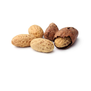 Poudre d'extrait de Garcinia Kola africaine fraîche, de noix de Kola amère et de fèves de cacao - Product Image 4