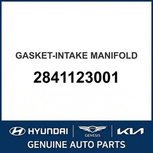 Nouveaux joints et garnitures Elantra 2841123001 - Product Image 1