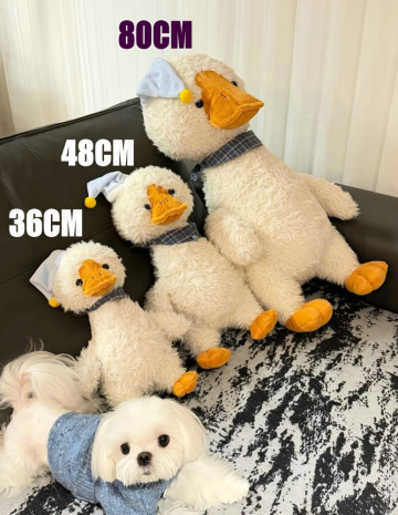 38cm