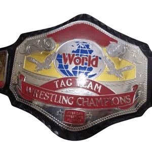 เข็มขัดแชมป์มวยปล้ำแท็กทีมระดับโลก รุ่นสะสมสำหรับนักสะสมกีฬา ชุบทองคุณภาพสูง - Product Image 2