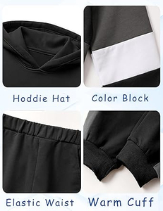 Conjunto Deportivo Infantil de Color Sólido, Sudadera con Capucha Estampada, Pantalones Deportivos, Conjunto de 2 Piezas de Felpa para Correr, Ropa Deportiva Informal de Invierno - Product Image 5